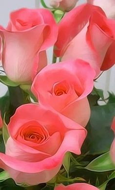 Ramo 12 Rosas Rosadas, Ramos a Domicilio Baratos, Ramos de Rosas para Regalo, Ramo para Regalar el Día de la Madre, Ramo para Regalar en Nacimientos