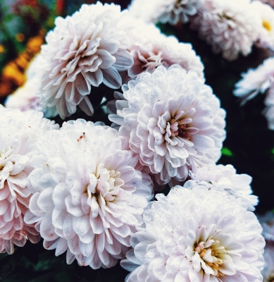 Centro Lágrima tonos Blancos, Enviar Flores Blancas al Tanatorio, Flores para Difuntos, Floristería en Sevilla, Comprar Flores Online